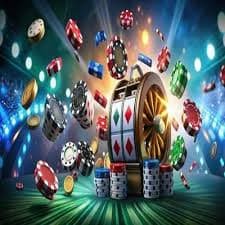 ip 65 Live Betting Hub